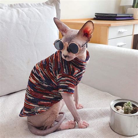 sphynx clothing on Amazon 